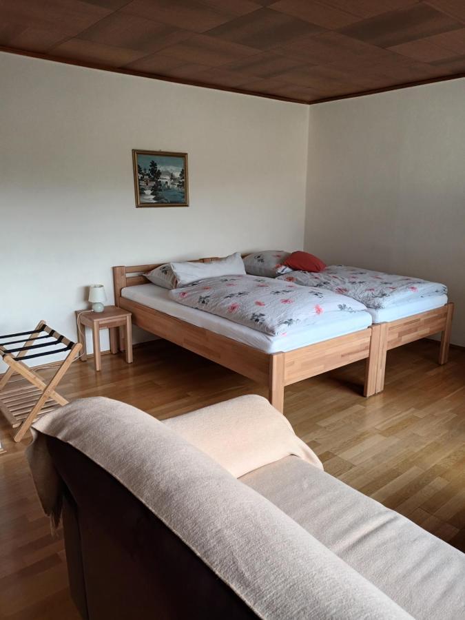 Buedingen-Ferienwohnung Bausch 外观 照片
