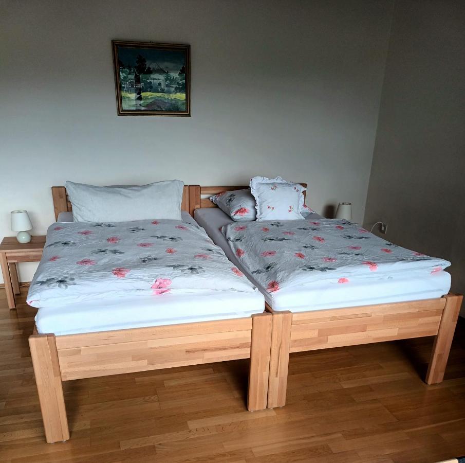 Buedingen-Ferienwohnung Bausch 外观 照片
